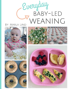 Everyday Baby-Led Weaning - Because I Said So, Baby