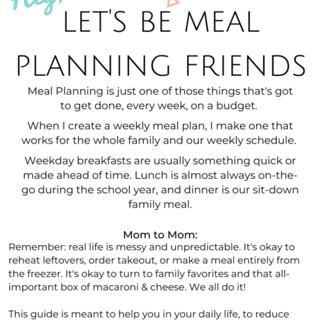Feeding Toddlers Guide toddler meal planning