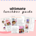 ultimate bento box lunch guide