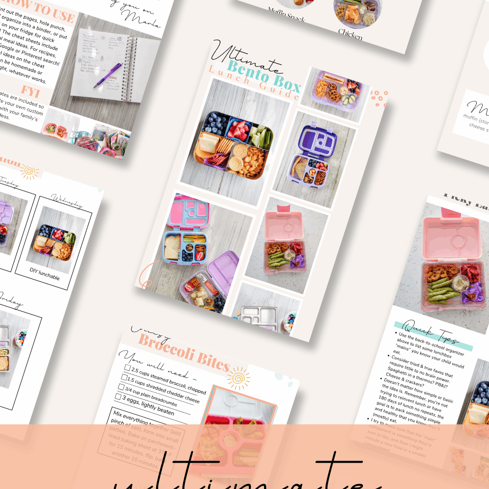 Ultimate Bento Box Lunch Guide Because I Said So, Baby