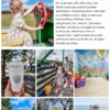summer survival guide
