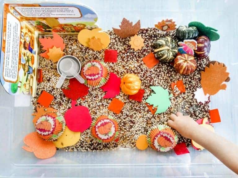 thanksgiving sensory bin