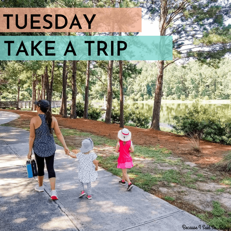 Fun Summer Schedule for Kids at Home - Because I Said So, Baby