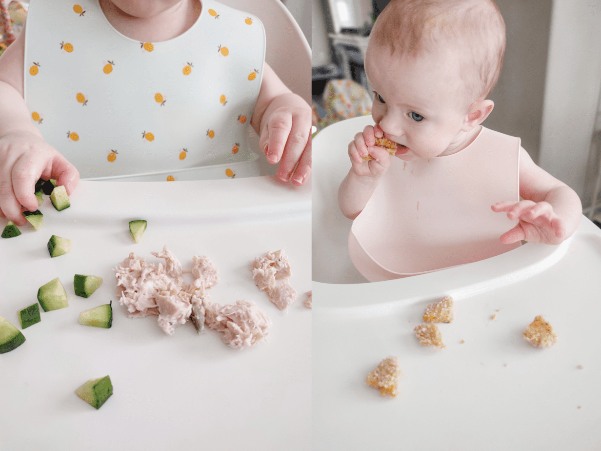 What I Fed My 9 Month Old (Meal Ideas & Feeding Schedule) Because I