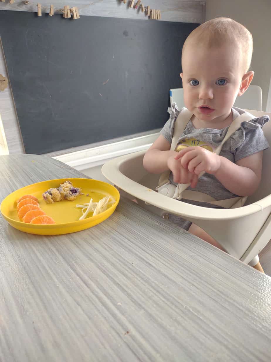 1 Year Old Sleep Schedule & Routine with 1 Nap Because I Said So, Baby