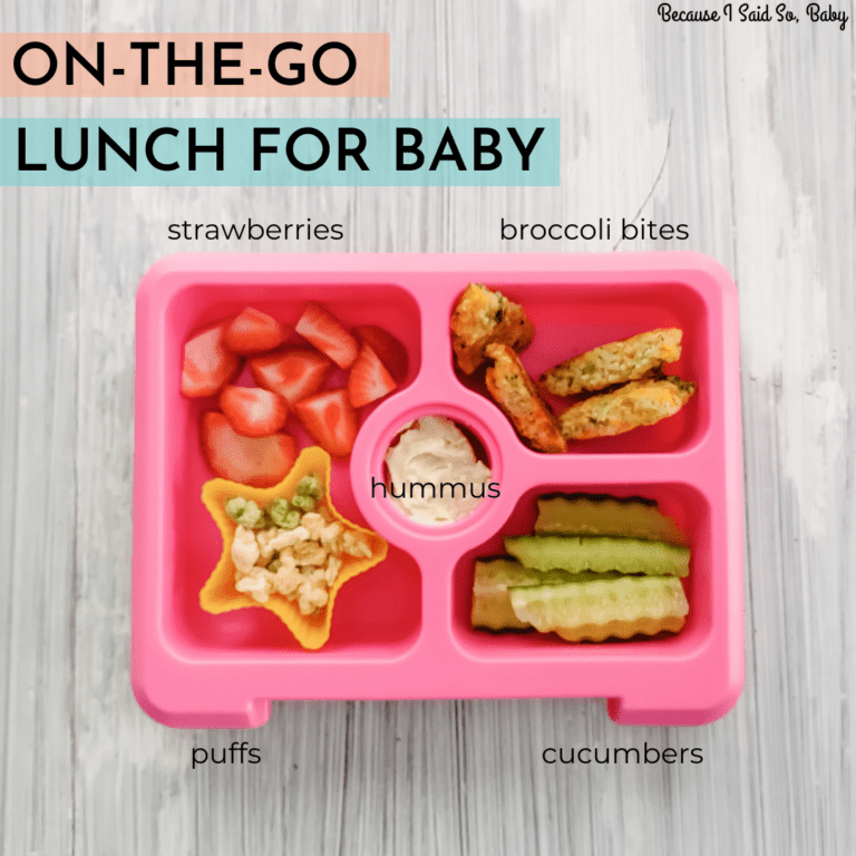Easy Lunchbox Ideas for 1 Year Olds (Preschool, Daycare, or At Home