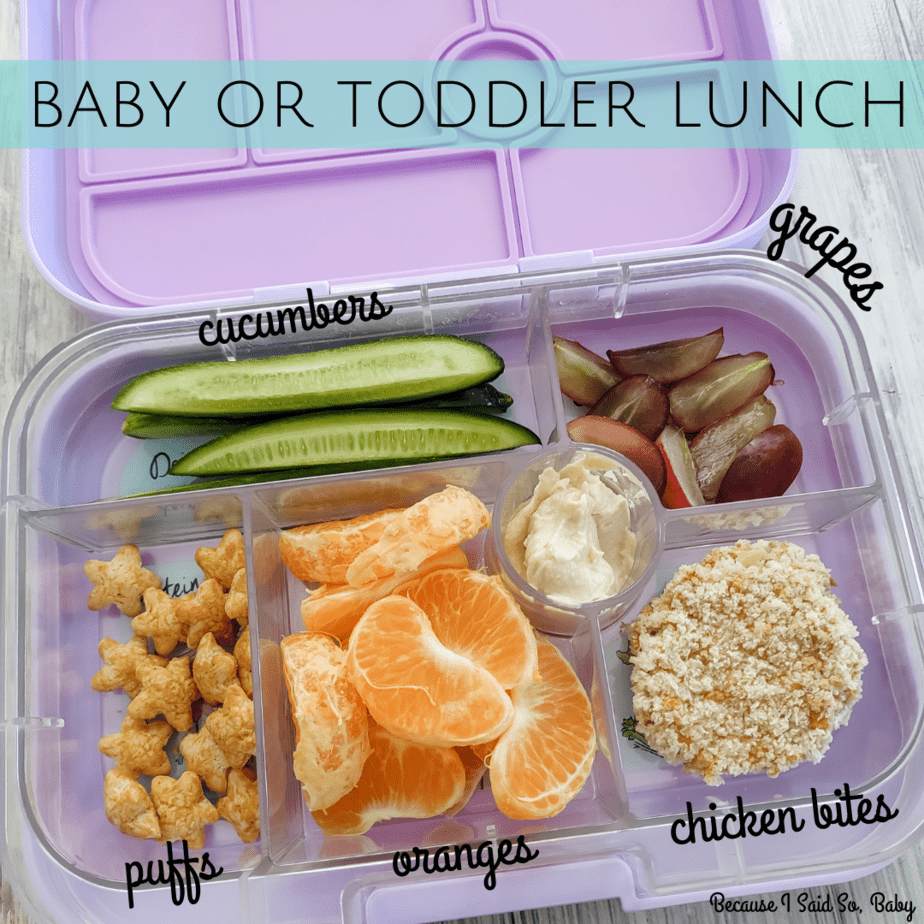 Easy Lunchbox Ideas for 1 Year Olds (Preschool, Daycare, or At Home