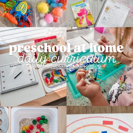the preschool playbook preschool at home curriculum