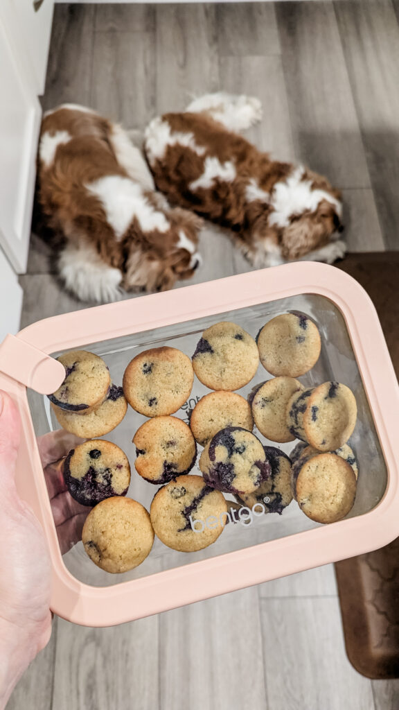 mini muffin kids meal prep