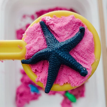 summer camp at home (camp mom)