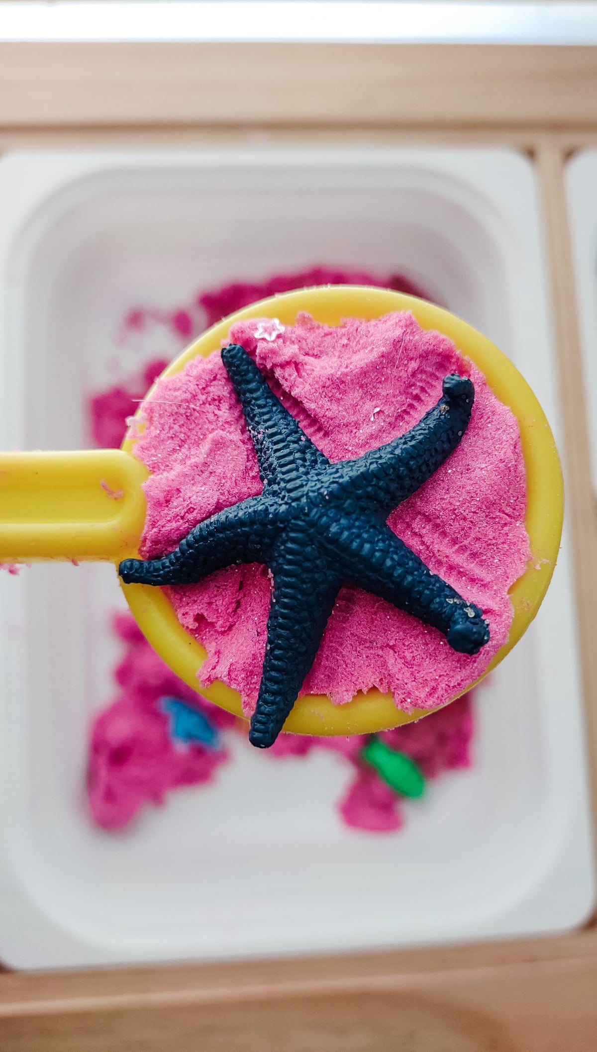 How to do Summer Camp at Home (AKA Camp Mom) - Because I Said So, Baby