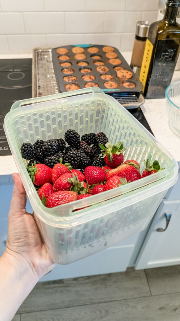 produce saver container | meal prep