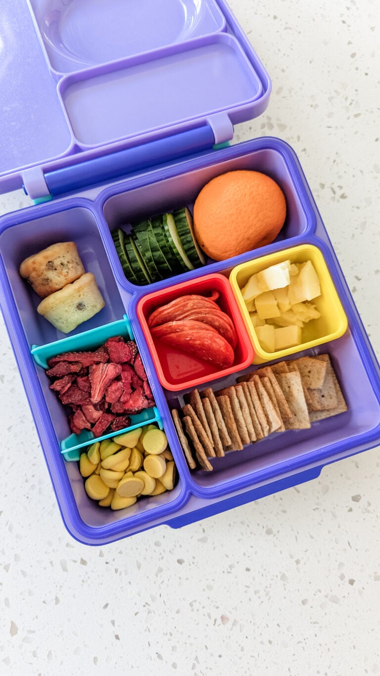 easy back to school bento box lunch ideas