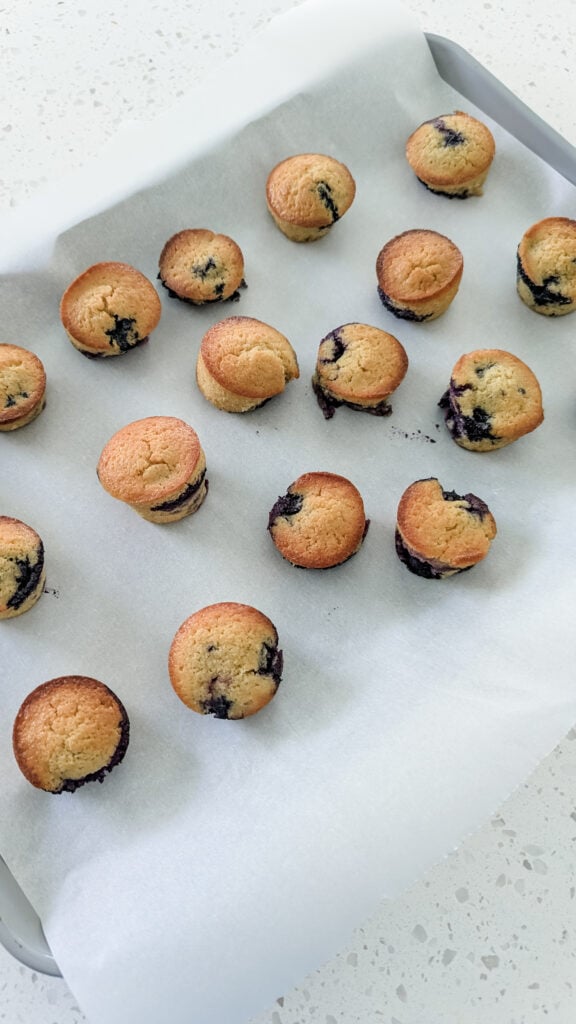mini blueberry muffins