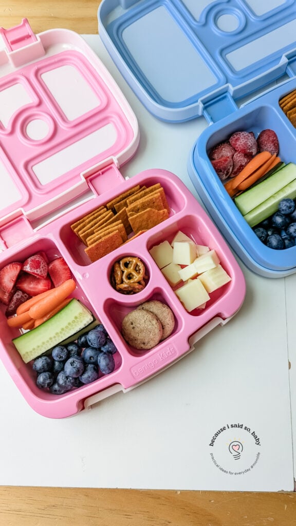 easy bento box school lunch idea
