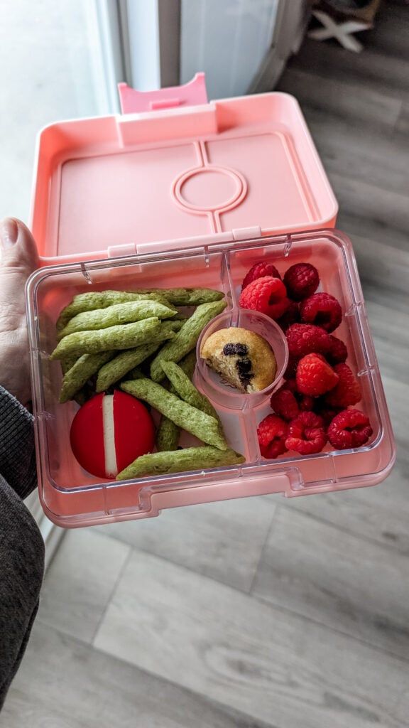 yumbox snack box