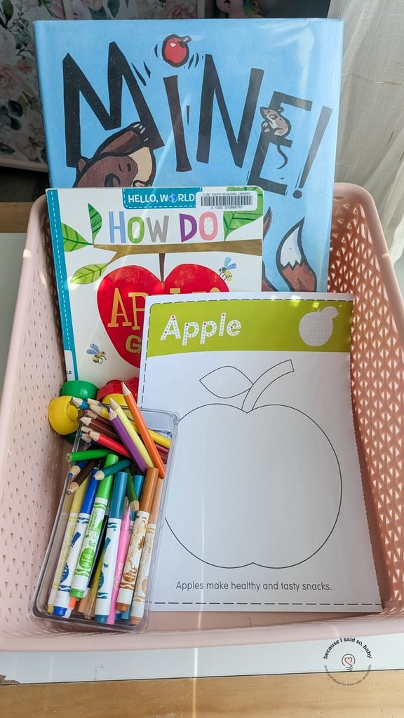 apple theme morning basket
