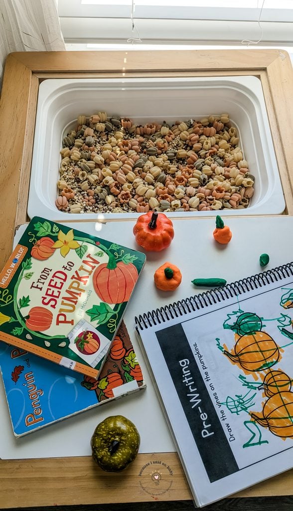 pumpkin sensory play
