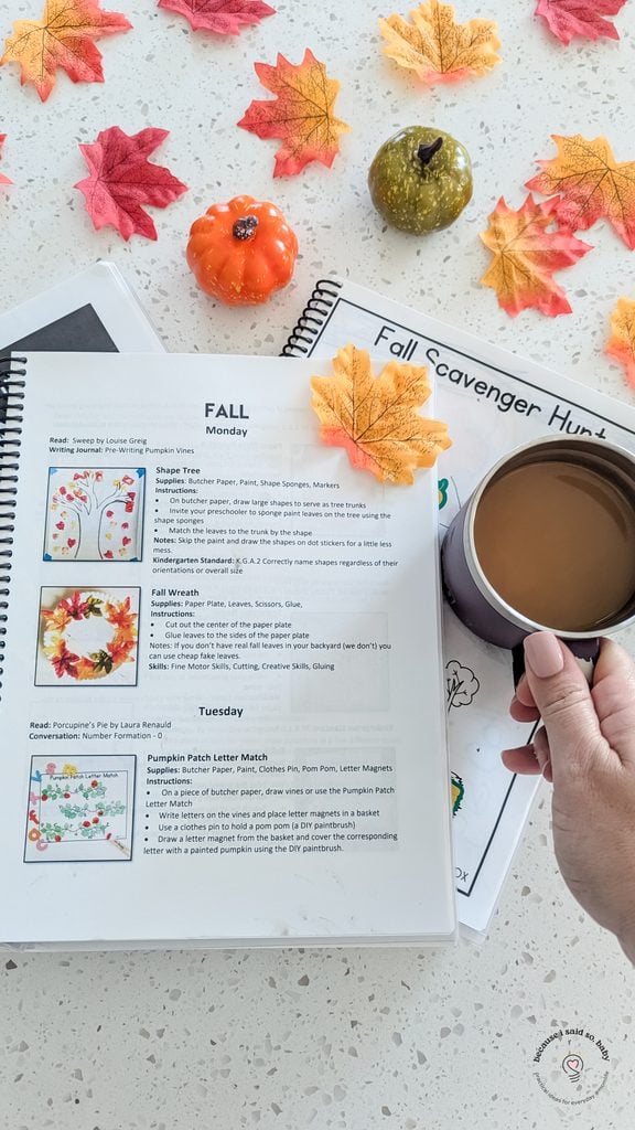 the preschool playbook